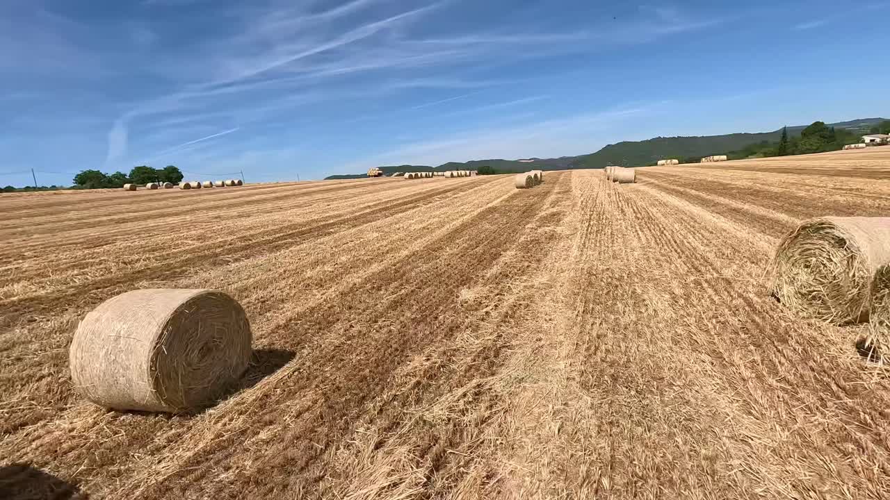 Smooth FPV drone footage capturing a harvested cereal field with scattered round bales under a clear blue sky. The video showcases the ordered rows of bales and the vastness.