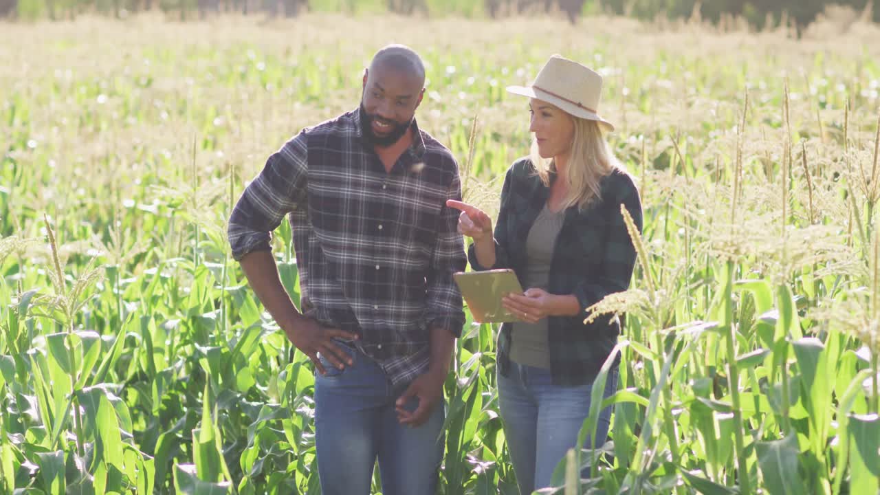 video de una mujer y un hombre felices y diversos con una tableta en el campo en un día soleado