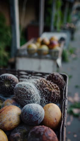 fruit stall at an outdoor market