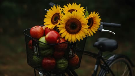 a vibrant display of nature's bounty: a bicycle basket overflowing with colorful apples and bright sunflowers in a serene outdoor setting