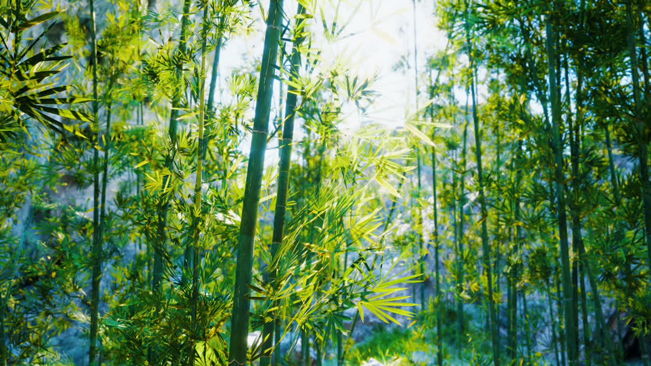 un exuberante bosque de bambú