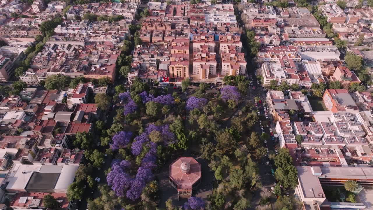 Backwards Shot Of Wonderful Garden Park In Mexico City At Sunny Day