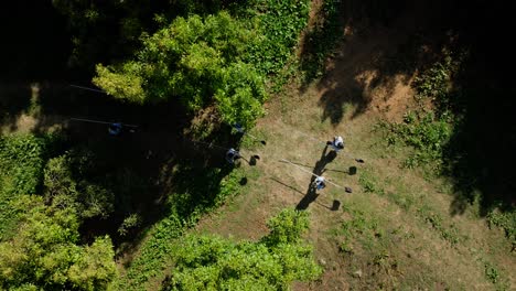 drone: vista de arriba hacia abajo de los agricultores de aguacate en una granja de aguacate