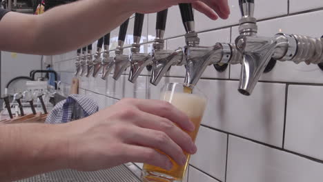 pouring various craft beer options into a glass