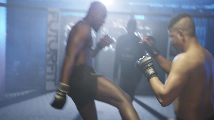 Who'll be the king of the boxing ring?