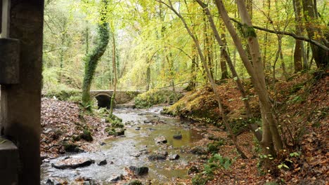 pacífico puente de madera que cruza la corriente que fluye natural en otoño bosque desierto dolly izquierda