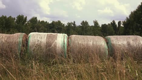 harvested round hay bales in an open field