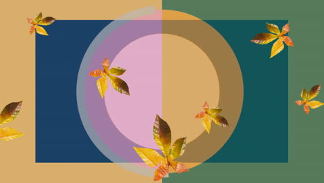 Animation-of-leaves-over-colourful-shapes-on-yellow-and-green-background