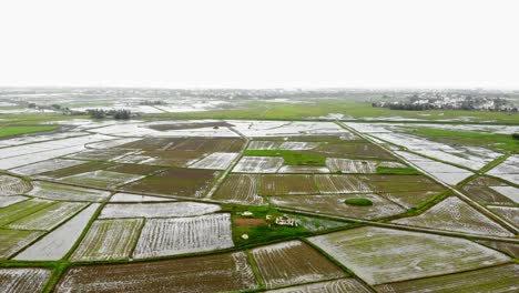 high altitude flight over a rice field in hoi an, vietnam, a dolly shot over ground captured by a drone