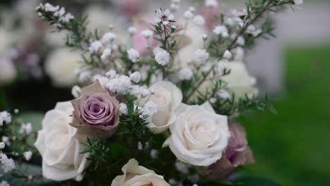 primer plano de la flor de la dama de honor en el suelo