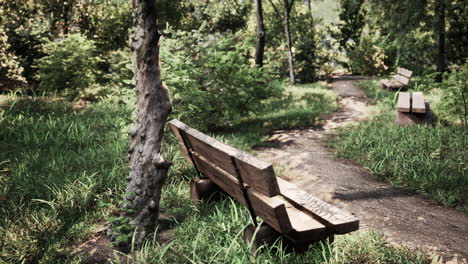 área-De-Descanso-En-El-Sendero-Para-Caminar-Del-Valle