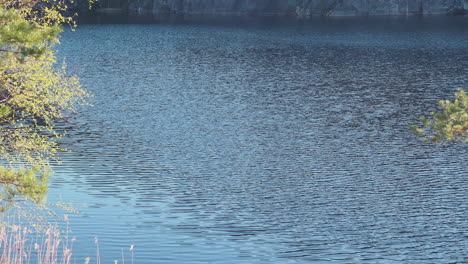 ripples on the water surface on a deep lake