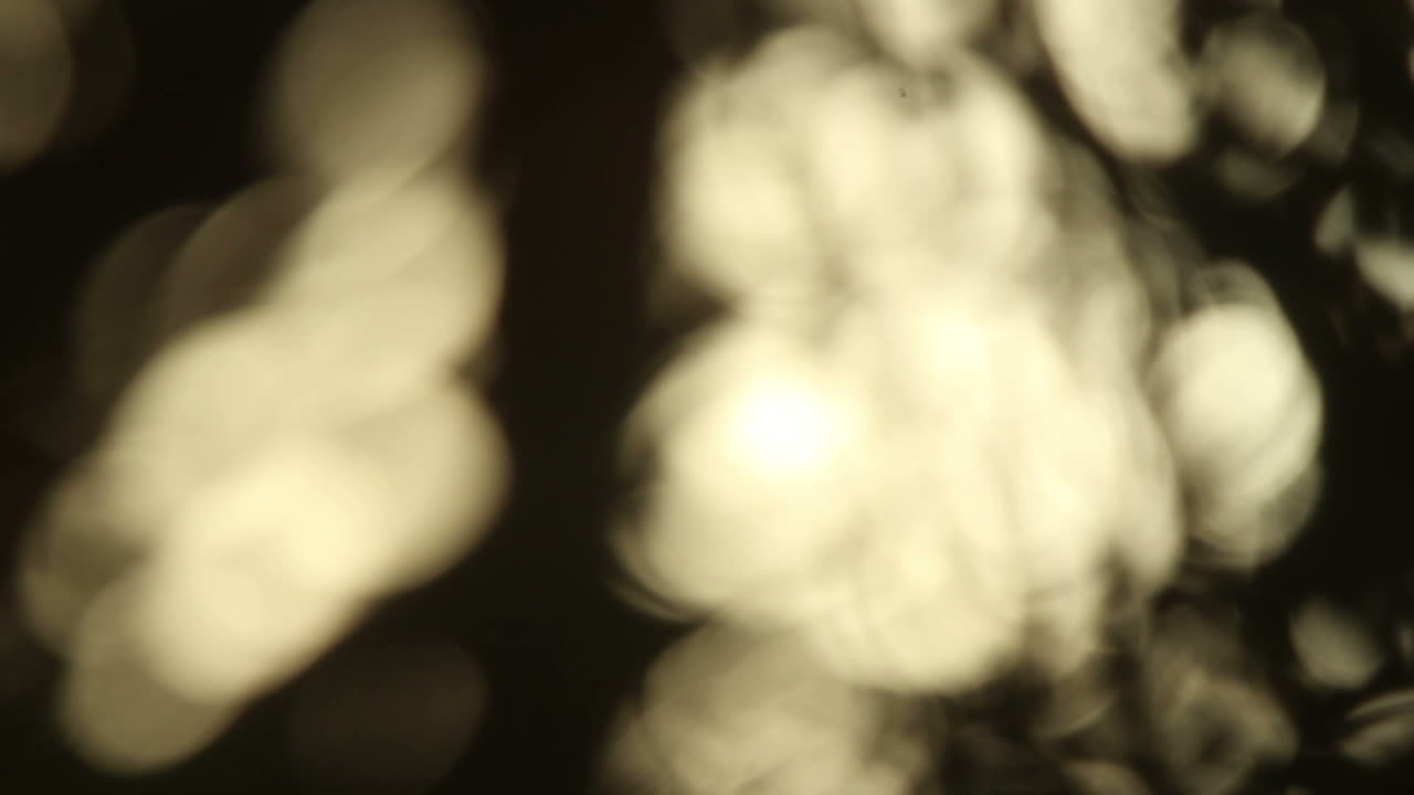 Cancun Palms Video 15