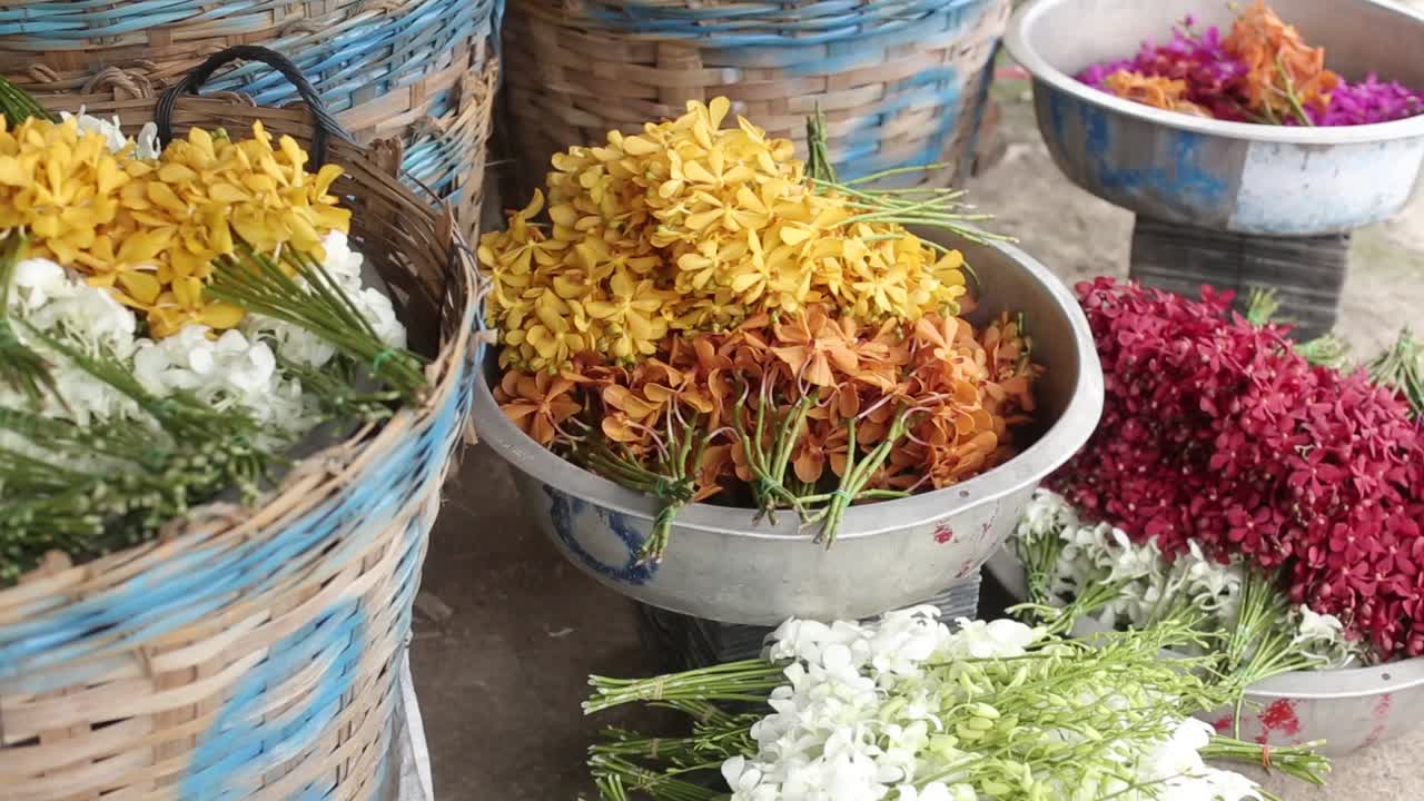 montones de flores de orquídeas frescas y coloridas