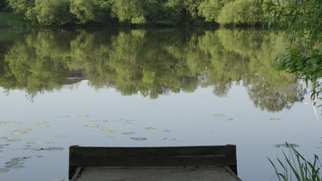 Friedlicher,-Ruhiger-See-Am-Morgen-Mit-Bäumen,-Die-Sich-Im-Wasser-Spiegeln