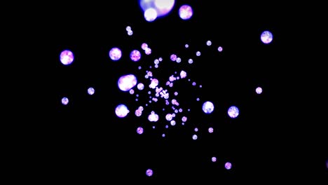 flying many clear crystal spheres on black background. shine transparent, colorful glass. 3d animation of shiny ball rotating. loop animation.