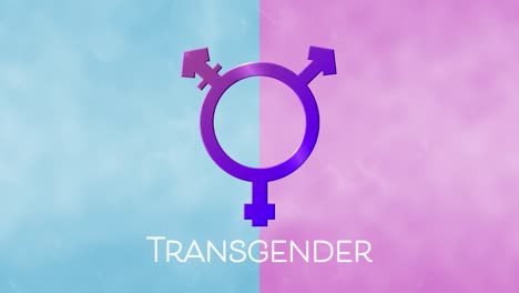 animación del símbolo transexual púrpura sobre fondo azul y rosa