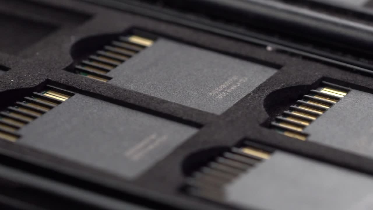 Macro shot of SD memory cards stored inside protective black case, studio close up detail