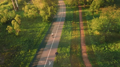 Aerial view of a park path with cyclist