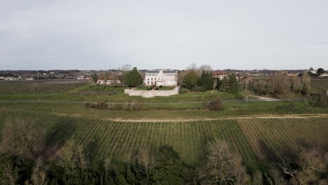 chateau and vineyards, bayon-sur-gironde, france - aerial