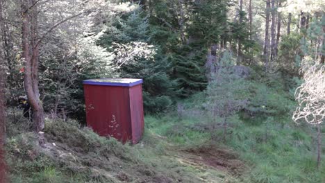 Cortar-Un-árbol-Con-Una-Motosierra