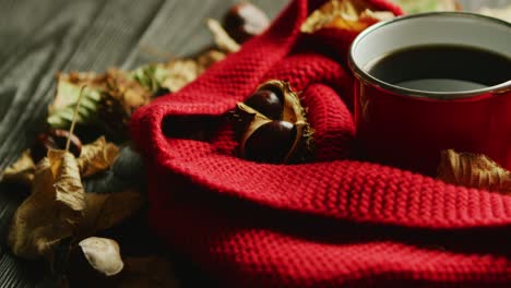 leaves and nuts near scarf and hot beverage