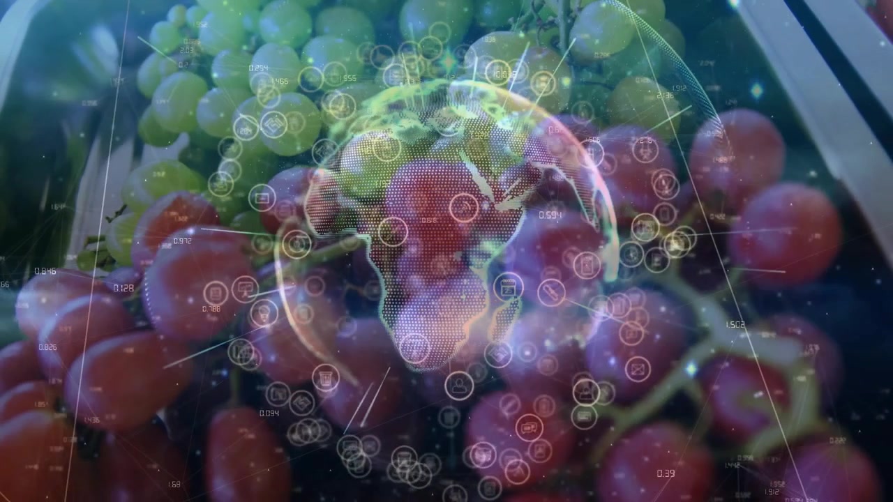 Hologram vises over druer, globus sentreres mens noder roterer og pulserer, visualiserer data