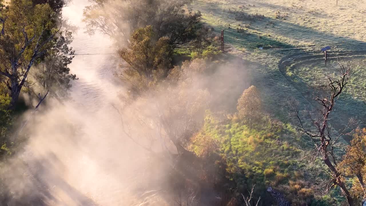 Drone footage tracks above a tree-lined dirt road as morning sunlight filters through fog and dust, highlighting rural Australian landscape and natural textures
