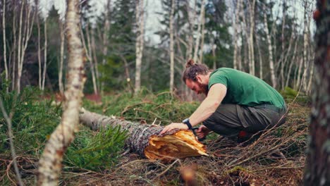 man cutting tree trunk with a saw in the forest - wide shot