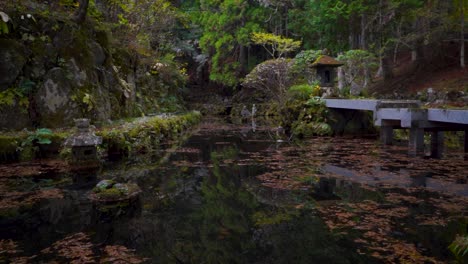 estructura de santuario misterioso en el agua con reflejos en el bosque