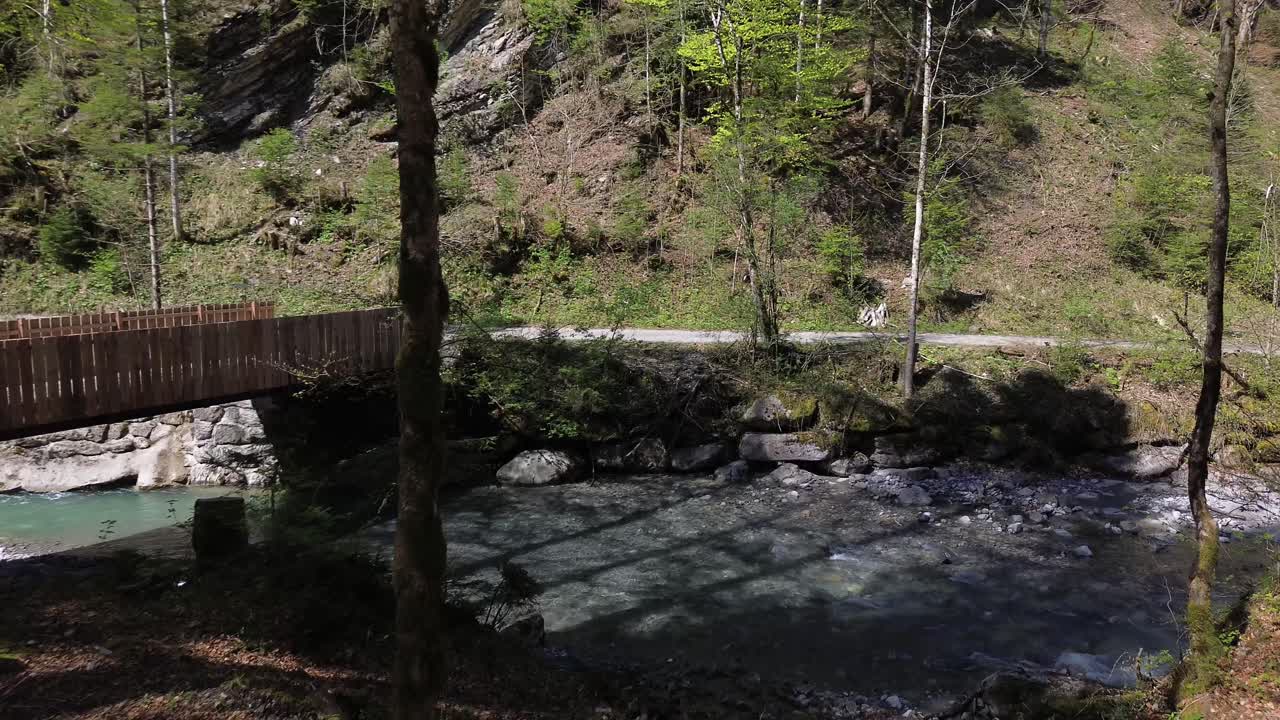 드론은 아름다운 푸른색 산 강과 함께 숲의 다리를 향해 날아
