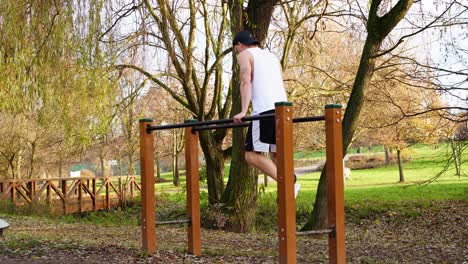 athlete performing dips in a scenic park setting
