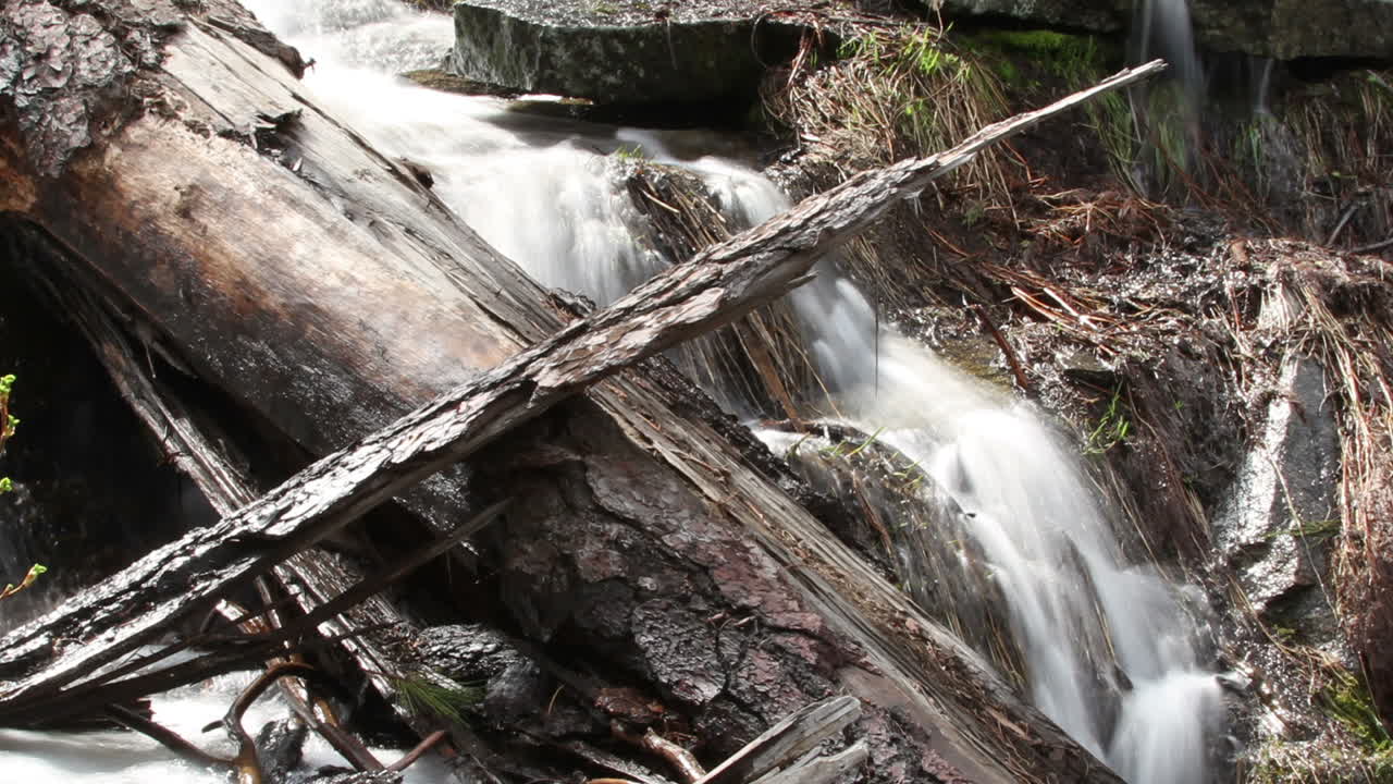 세퀴오아 폭포 05