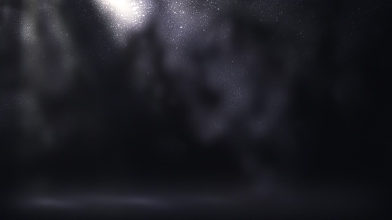 misterioso bosque oscuro por la noche