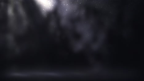 mysterious dark forest at night