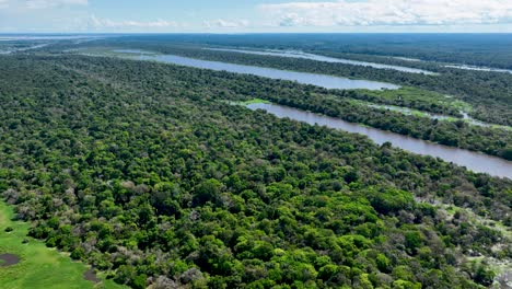 amazon river at amazon rainforest