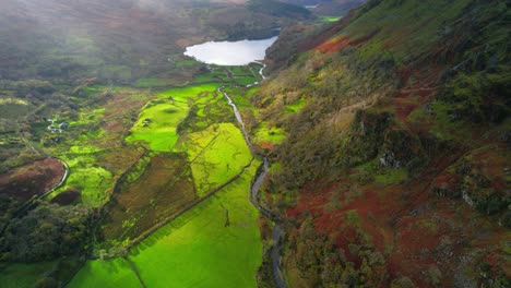 contrast and vibrant colors of landscape surrounding llyn gwynant lake in snowdonia, wales in uk