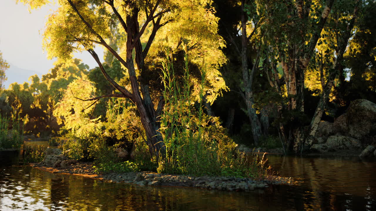 tranquilo atardecer sobre un río en un bosque exuberante