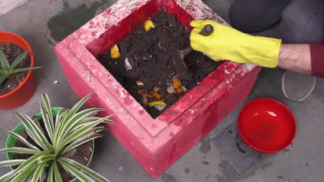 a city male gardener processes organic waste into compost with kitchen scraps in an urban setting