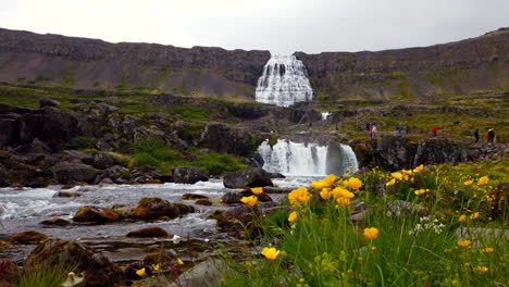 enormous dyjandi waterfall in the west fjords of iceland wide low static 4k prorezhq with tourists hiking to falls in distance