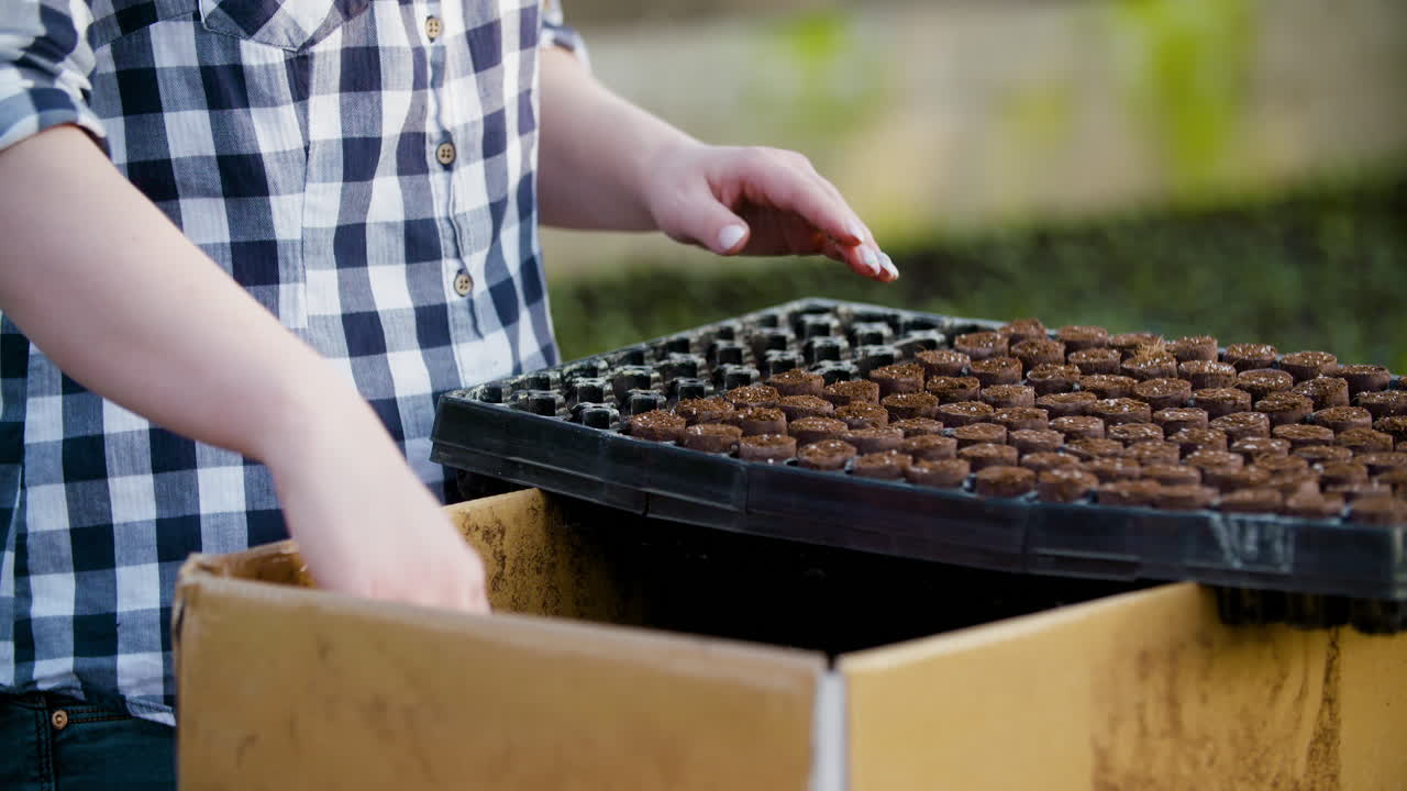 Close Up Of Female Gardener Arranges Seedlings 5