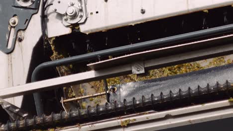 detailed view of the mechanics of a grape harvester busy harvesting wine grapes