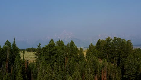 tiro aéreo de la naturaleza del paisaje del dron que pasa por encima de las copas de los pinos y revela la cordillera del parque nacional grand tetons con un valle de arbustos y pinos detrás en wyoming, estados unidos