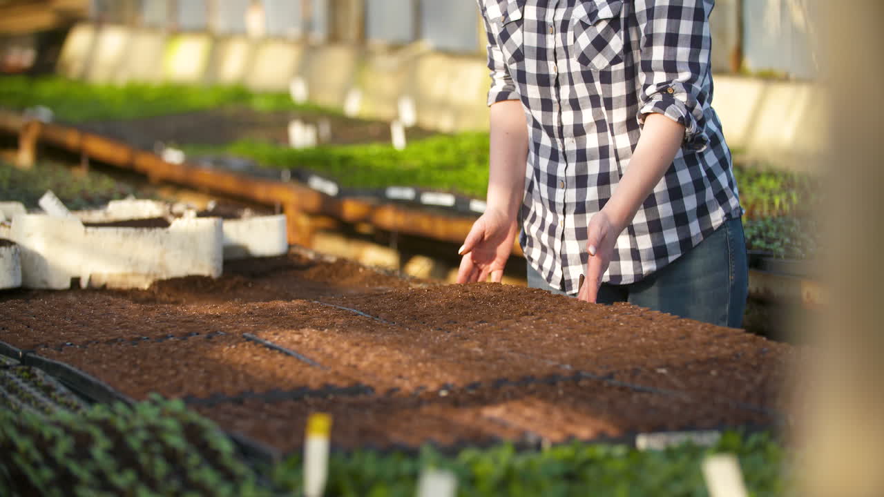 Young Female Botanist Examining Potted Plant 19