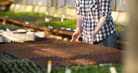 Young-Female-Botanist-Examining-Potted-Plant-19