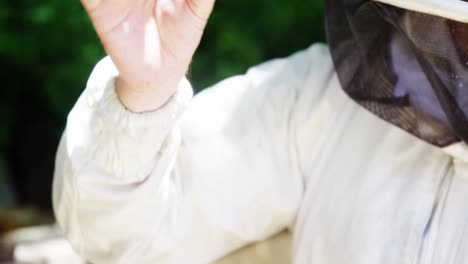 beekeeper holding a piece of fresh honeycomb