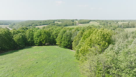 lush green trees and open fields in summer in leach, oklahoma, usa