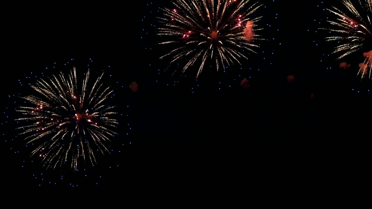 firework on night sky