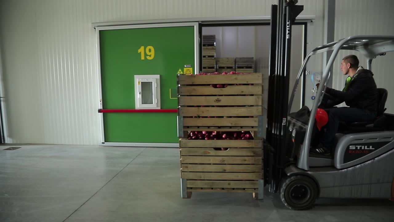 A worker moves two wooden crates of ripe apples using a forklift to the designated storage room in the warehouse of the plant. Working process.
