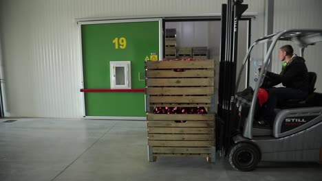a worker moves two wooden crates of ripe apples using a forklift to the designated storage room in the warehouse of the plant. working process.